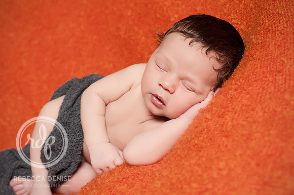_DSC5833-Edit